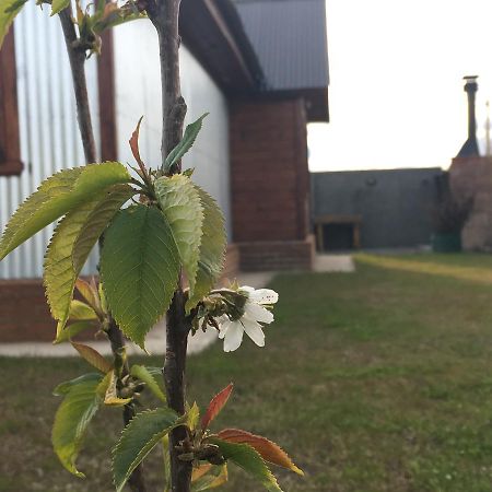 אל קלפטה Casa Patagonica Los Frutales מראה חיצוני תמונה