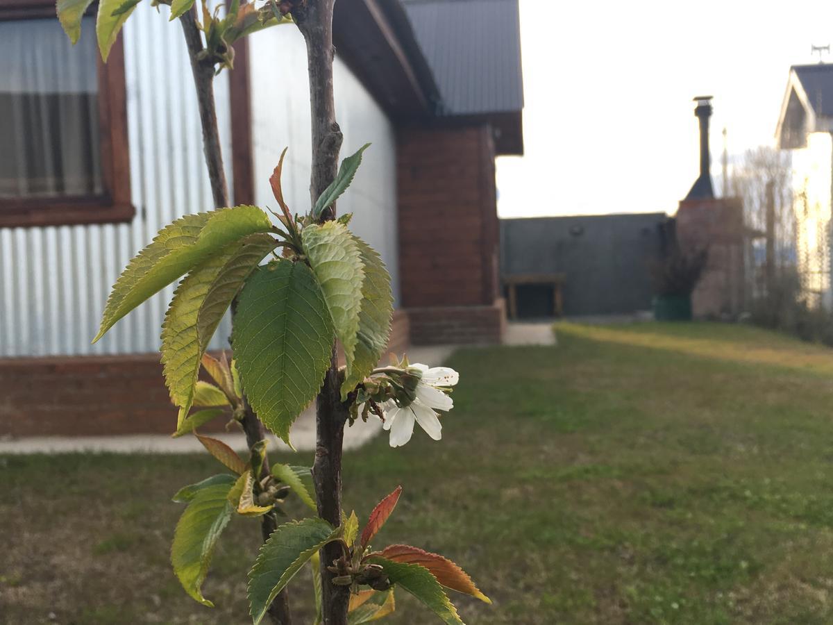 אל קלפטה Casa Patagonica Los Frutales מראה חיצוני תמונה